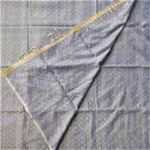contemporary blue cotton handloom saree I woven sequence I  Chanchal bringing art to life