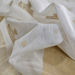 beautiful Golden cream  Chanderi Silk Cotton handloom Saree I Chanchal bringing art to life 