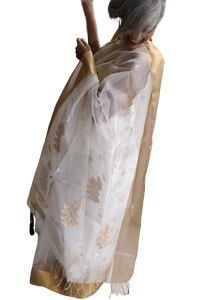 soft elegant ivory zari cotton silk handloom saree I Chanchal bringing art to life